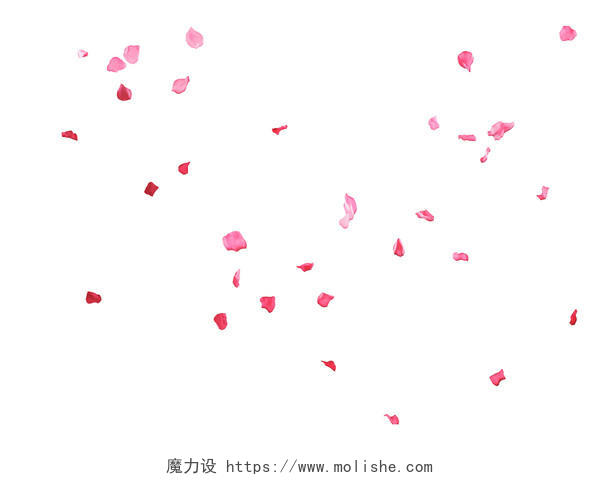 粉色简约小清新38妇女节鲜花花瓣妇女节元素PNG素材